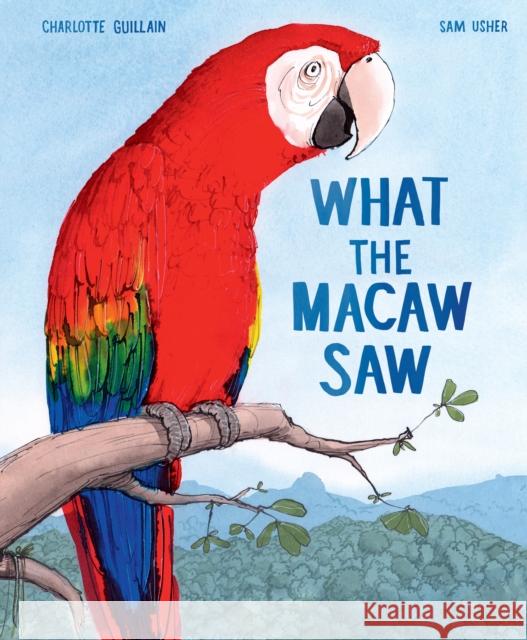 What the Macaw Saw Guillain, Charlotte 9781913519735 Hachette Children's Group - książka