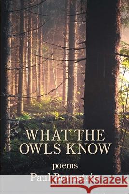 What the Owls Know Paul Bernstein 9781950462100 Kelsay Books - książka