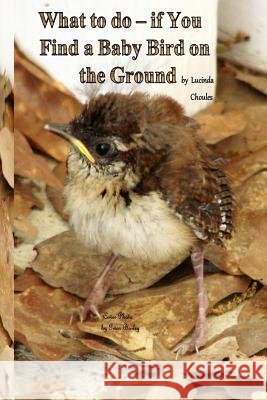 What to do- if You Find a Baby Bird on the Ground Choules, Lucinda 9781500448837 Createspace - książka