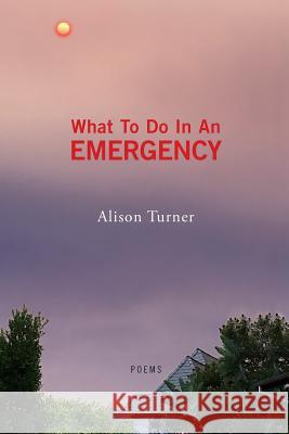 What To Do In An Emergency Turner, Alison 9781543074741 Createspace Independent Publishing Platform - książka