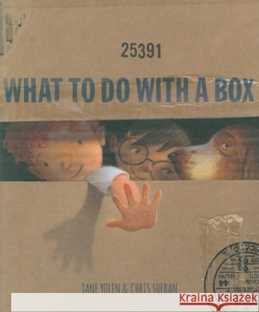 What to Do with a Box Jane Yolen Chris Sheban 9781568462899 Creative Editions - książka