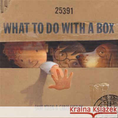 What to Do with a Box Jane Yolen Chris Sheban 9781682772959 Creative Paperbacks - książka