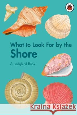 What to Look For by the Shore Becky Brown 9780241626139 Penguin Random House Children's UK - książka