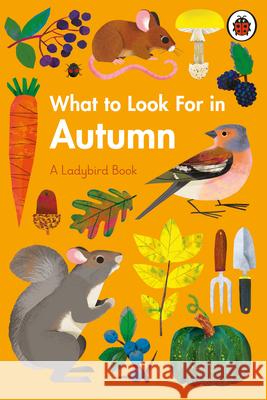 What to Look For in Autumn Elizabeth Jenner 9780241416167 Penguin Random House Children's UK - książka