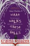 What Walks These Halls Amy Clarkin 9781788493734 O'Brien Press Ltd