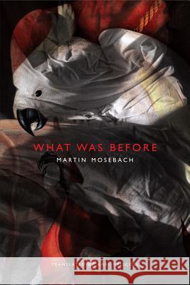 What Was Before Martin Mosebach Kari Driscoll 9780857422149 Seagull Books - książka