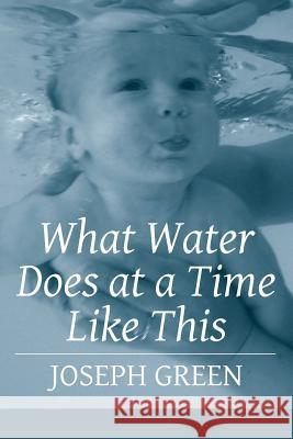 What Water Does at a Time Like This Joseph, III Green Lana Hechtman Ayers 9781936657179 Moonpath Press - książka