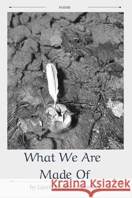 What We Are Made of Laurie Elizabeth Lambert 9781635348392 Finishing Line Press - książka