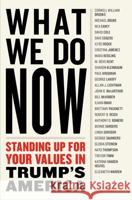 WHAT WE DO NOW : Standing Up for Your Values in Trump's America Dennis Johnson Valerie Merians 9781612196596 Melville House Publishing - książka