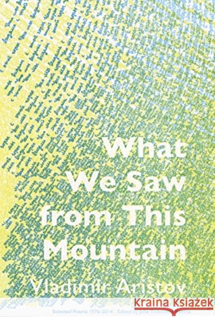 What We Saw From This Mountain Vladimir Aristov 9781937027377 Ugly Duckling Presse - książka