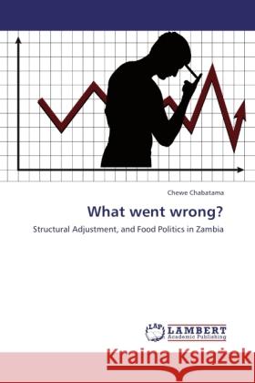 What went wrong? Chabatama, Chewe 9783846528730 LAP Lambert Academic Publishing - książka