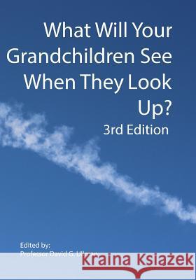 What Will Your Grandchildren See When They Look Up? David G. Ullman 9781981953691 Createspace Independent Publishing Platform - książka