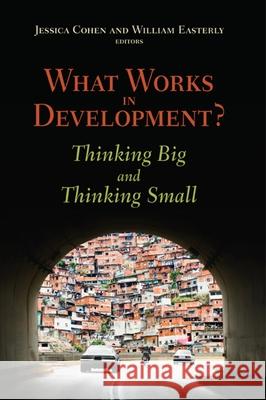 What Works in Development?: Thinking Big and Thinking Small Cohen, Jessica 9780815702825 Brookings Institution Press - książka