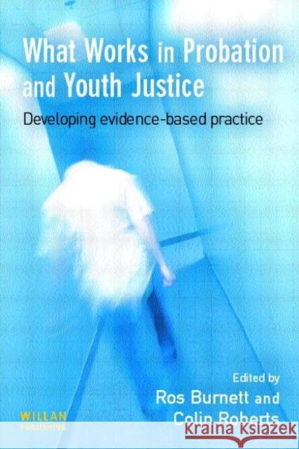 What Works in Probation and Youth Justice  9781843920595 WILLAN PUBLISHING - książka