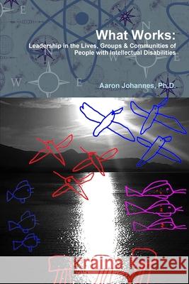 What Works: Leadership in the Lives, Groups and Communities of People with Intellectual Disabilities Aaron Johannes 9780359643158 Lulu.com - książka
