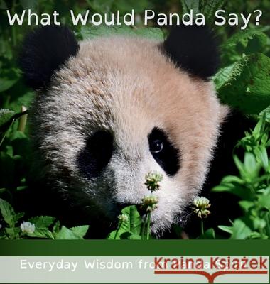 What Would Panda Say?: Everyday Wisdom from Panda Spirit Q. Grinsven Q. Grinsven 9789083596570 Animals Know - książka