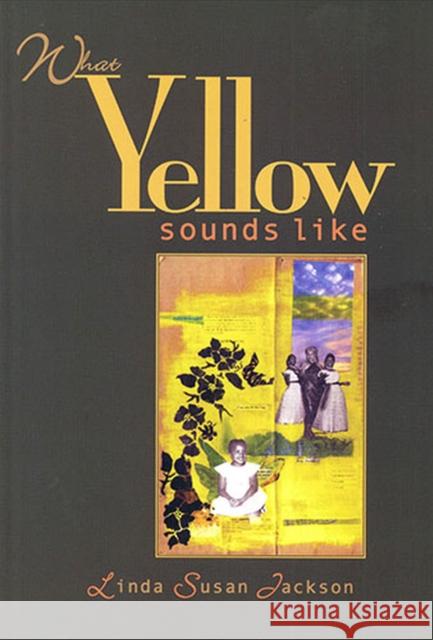 What Yellow Sounds Like Linda Susan Jackson 9781882688333 Tia Chucha Press - książka