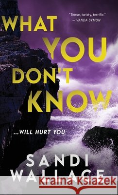 What You Don't Know Sandi Wallace 9784824134820 Next Chapter - książka
