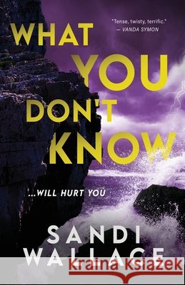 What You Don't Know Sandi Wallace 9784824134837 Next Chapter - książka
