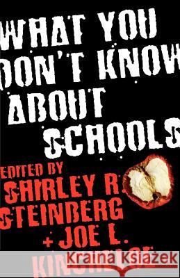 What You Don't Know about Schools Kincheloe, J. 9781403963451  - książka