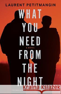 What You Need from the Night: A Novel Laurent Petitmangin, Shaun Whiteside 9781635423501 Other Press LLC - książka