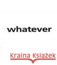 WHATEVER Jana Písaříková 9788070273357 Moravská galerie v Brně - książka