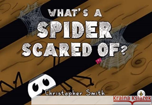 What's a Spider Scared of? Christopher Smith 9781839345715 Olympia Publishers - książka