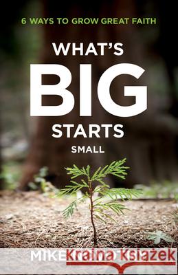 What's Big Starts Small Novotny, Mike 9780764240706 Bethany House Publishers - książka