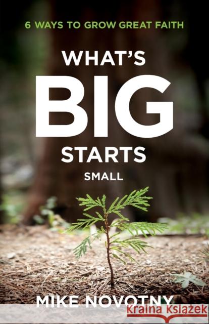 What's Big Starts Small: 6 Ways to Grow Great Faith Mike Novotny 9780764240034 Bethany House Publishers - książka