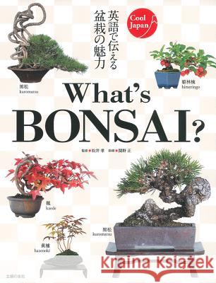 What's Bonsai? Takashi Matsui 9784074189175 Shufunotomosha/Tsai Fong Books - książka