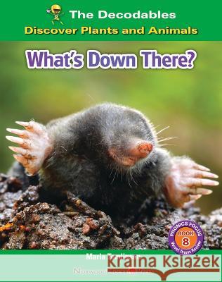 What's Down There? Marla Tomlinson 9781684049066 Norwood House Press - książka