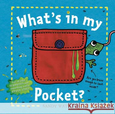 What's in My Pocket? Sandy Watson 9780370329451 Penguin Random House Children's UK - książka