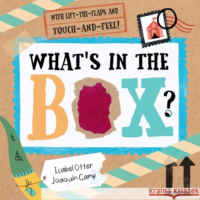 What's in the Box? Joaquin Camp 9781838911836 Little Tiger Press Group - książka