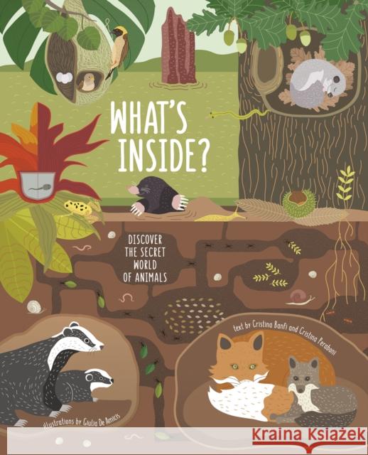 What's Inside? Discover the Secret World of Animals  9788854413276 White Star - książka
