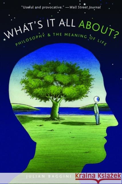 What's It All About?: Philosophy and the Meaning of Life Julian Baggini 9780195315790 Oxford University Press, USA - książka