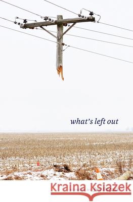 What's Left Out: Stories Jay Baruch 9781606352335 Kent State University Press - książka