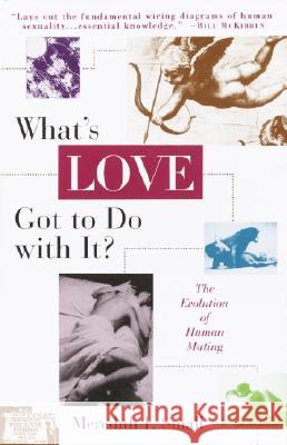 What's Love Got to Do with It?: The Evolution of Human Mating Small, Meredith 9780385477024 Anchor Books - książka