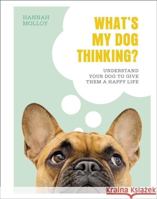 What's My Dog Thinking?: Understand Your Dog to Give Them a Happy Life Hannah, BSc Animal Behaviour Molloy 9780241435830 Dorling Kindersley Ltd - książka