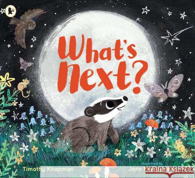 What's Next? Knapman, Timothy 9781406390841 Walker Books - książka