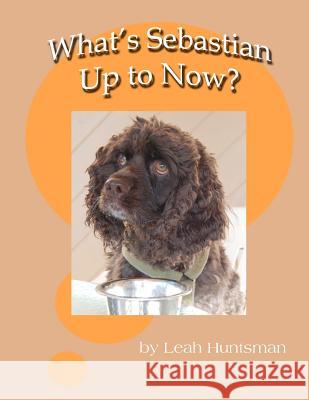 What's Sebastian Up to Now? Leah Huntsman Leah Huntsman 9781478108627 Createspace Independent Publishing Platform - książka