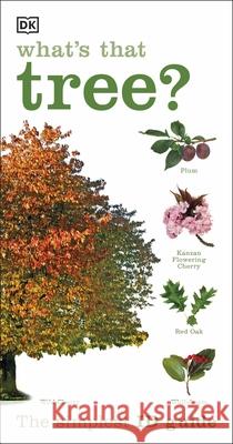 What's that Tree?: The Simplest ID Guide Ever DK 9781409366553 Dorling Kindersley Ltd - książka