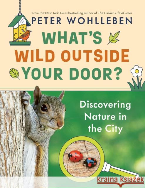 What's Wild Outside Your Door?: Discovering Nature in the City Peter Wohlleben 9781771648950 Greystone Books,Canada - książka