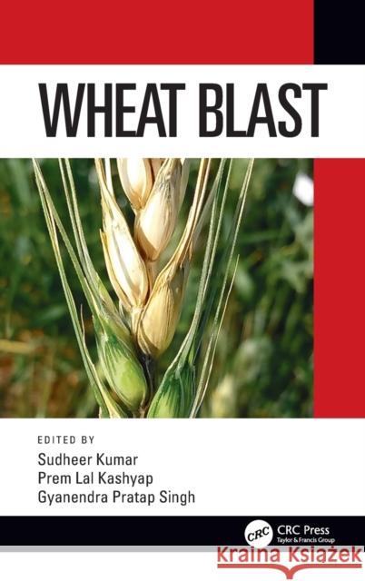 Wheat Blast Sudheer Kumar Prem Lal Kashyap Gyanendra Pratap Singh 9781138599970 CRC Press - książka