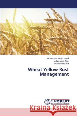 Wheat Yellow Rust Management Javed Muhammad Wajid                     Riaz Muhammad                            Asif Muhammad 9783659596407 LAP Lambert Academic Publishing - książka