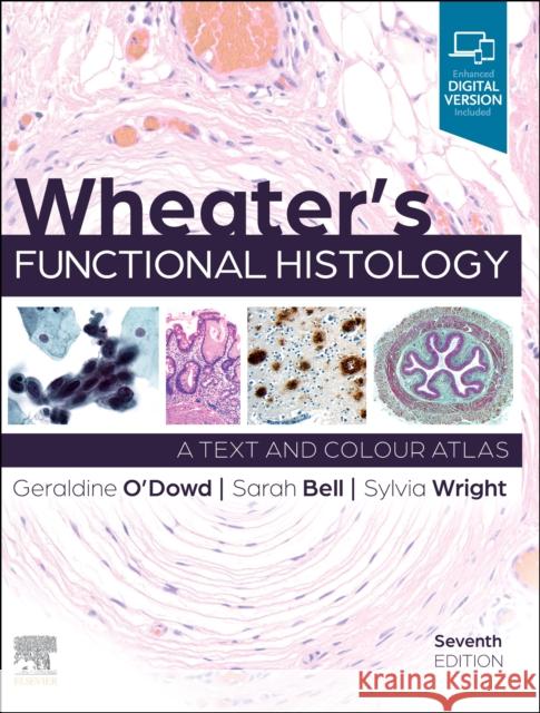 Wheater\'s Functional Histology Geraldine O'Dowd Sarah Bell Sylvia Wright 9780702083341 Elsevier - książka