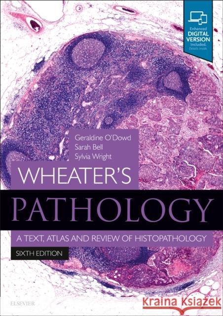 Wheater's Pathology: A Text, Atlas and Review of Histopathology Geraldine O'Dowd Sarah Bell Sylvia Wright 9780702075599 Elsevier Health Sciences - książka