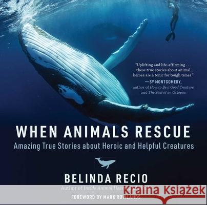 When Animals Rescue: Amazing True Stories about Heroic and Helpful Creatures Belinda Recio Mark Rowlands 9781510762602 Skyhorse Publishing - książka