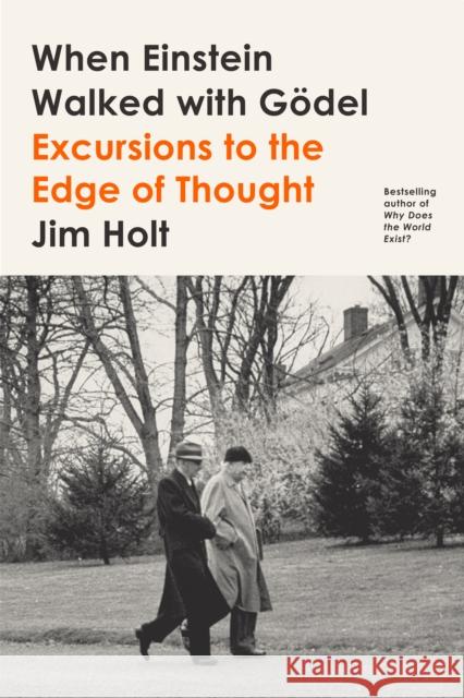 When Einstein Walked with Gödel: Excursions to the Edge of Thought Holt, Jim 9780374538422 MACMILLAN USA - książka