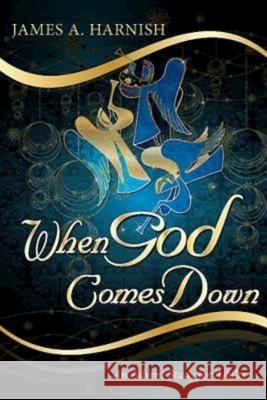 When God Comes Down: An Advent Study for Adults  9781426751080 Abingdon Press - książka