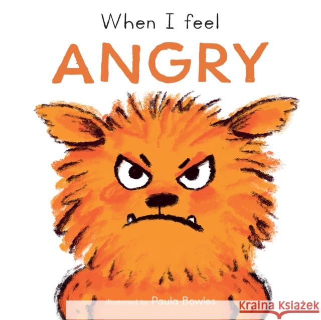 When I Feel Angry  9781786287465 Child's Play (International) Ltd - książka